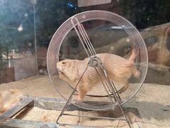 -绿色星球动物主题公园