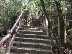 -祁门牯牛降观音堂风景区