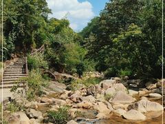 -广州白江湖森林公园