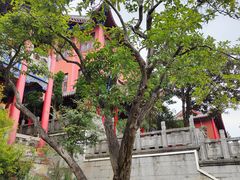 -黔灵山公园