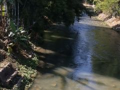 -红山村