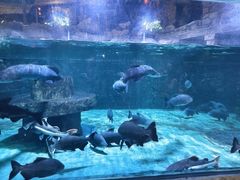 -威海华夏城景区