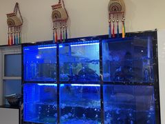 水产区-云中鱼蒸汽石锅鱼(川沙百联店)