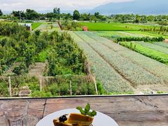 -翠田Green Field Kitchen