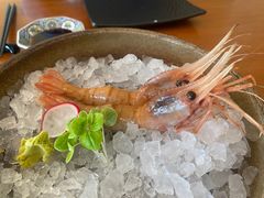 -月龍吟(朝龙汇店)