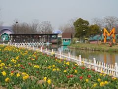 -荷兰花海