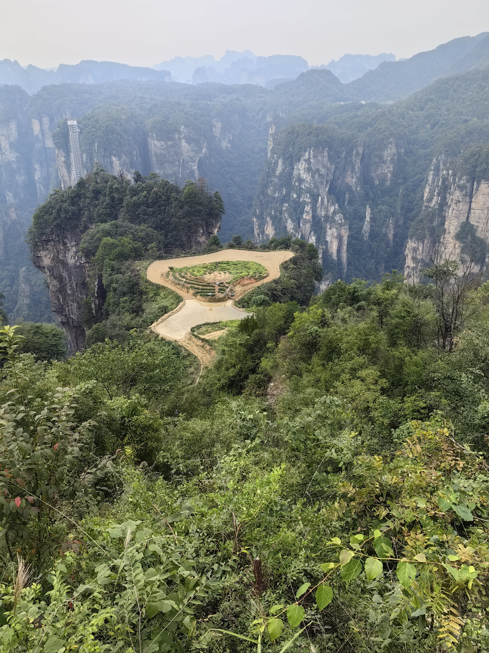 张家界空中田园图片图片