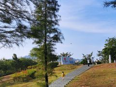 -飞来湖湿地公园