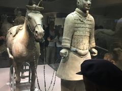 -骏途旅游