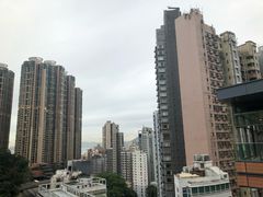 -香港大学