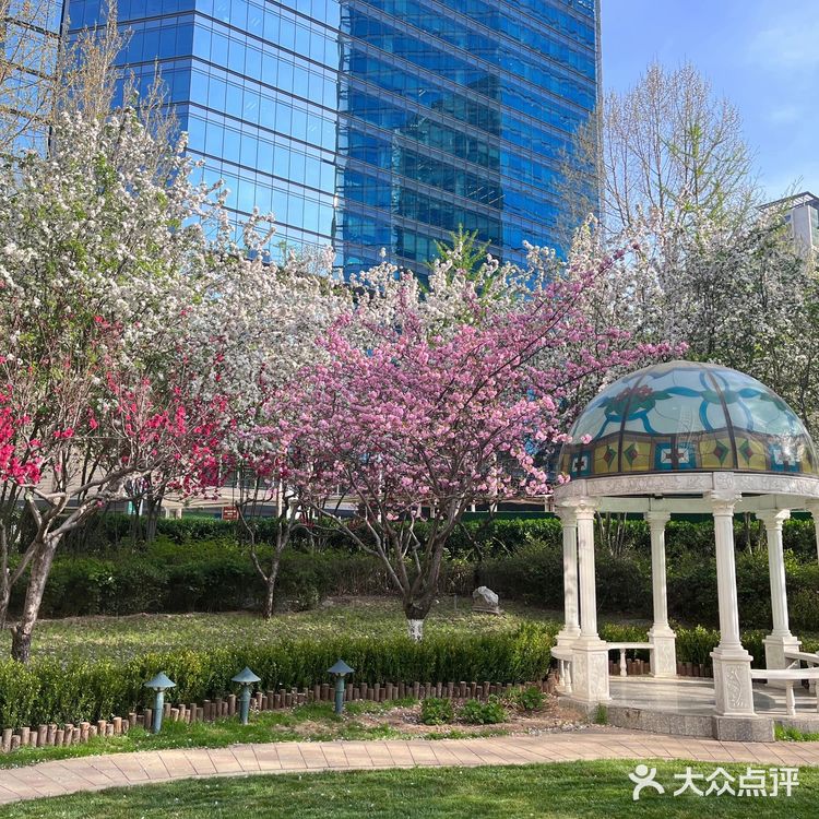 北京下午茶｜宾利下午茶奢华套餐～丽思卡尔顿酒店