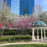 北京下午茶｜宾利下午茶奢华套餐～丽思卡尔顿酒店