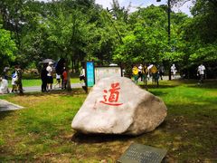 -句容茅山景区