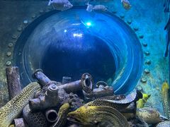 -成都浩海立方海洋公园