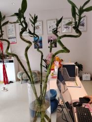 点击看大图 -Dr.林醫生产后修复·配方产康店(南京大厂店)