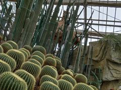 -南山植物园