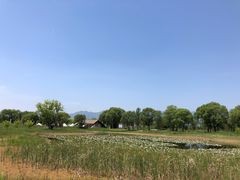 -野鸭湖国家湿地公园