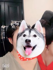 -盘子女人坊古装写真摄影(天津总店)