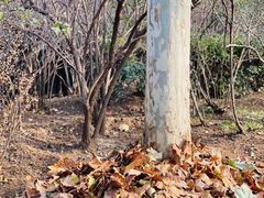 -滨河世纪广场公园