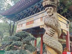 -华雅花园大酒店