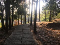 -森波拉火山温泉