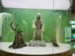 -国家自然博物馆