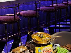 -Darling Queen·Mini·Live·House