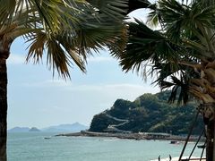 -大梅沙海滨公园