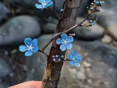 -储奇门鳝鱼火锅(总店)