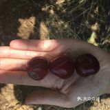 离海最近的大学