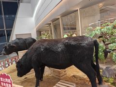 -左庭右院鲜牛肉火锅(京西大悦城店)