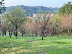 -牛岗山公园