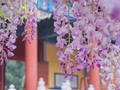 -北京国子监胡同