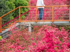 -瑞安圣井山景区