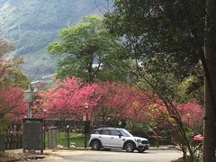 -广州市流溪河国家森林公园