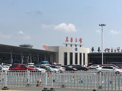 -天山醉美辣子鸡(文艺路店)