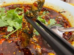 -胖大姐黄辣丁鱼庄(新津店)