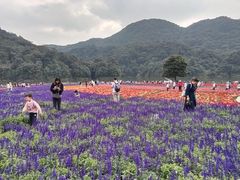 -广州市石门国家森林公园