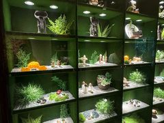 -慢丽江·云南野生菌土鸡锅(西山店)