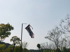 -黄陂区野村谷景区