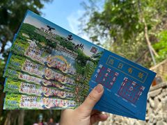 -西双版纳原始森林公园