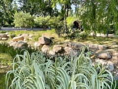 -莲花池公园