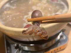 -邹开喜·炭炉鸡煲·海鲜火锅(虹口足球场店)
