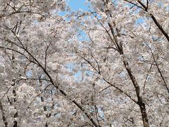 -幕燕滨江·长江观音景区