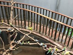 -正佳雨林生态植物园