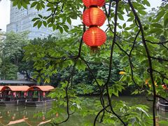 -侨美·唐荔园·40年地道粤菜