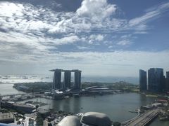 -新加坡瑞士史丹福酒店