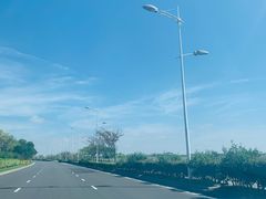 -南汇嘴观海公园