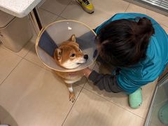 -美迦爱-牙专科·兔科·骨科诊疗中心(北苑店)
