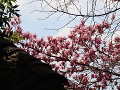 -中国天府农业博览园